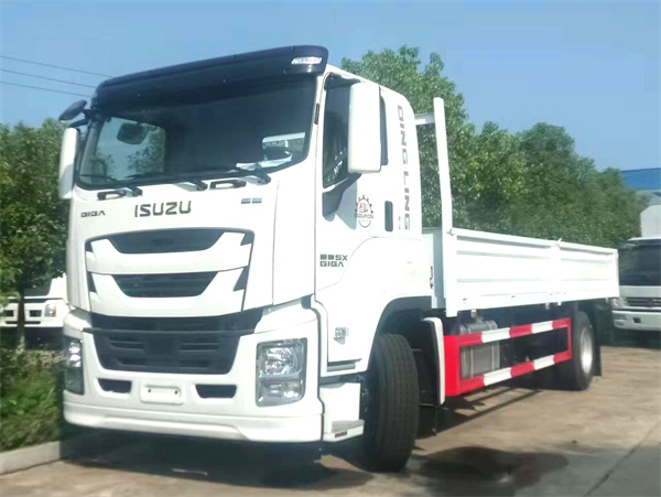 Cargo truck ISUZU-lorry 240HP 5.8~6.8m