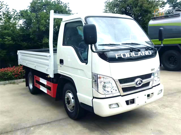 FOTON Cargo truck-lorry 68~115HP 3.8~4.2m
