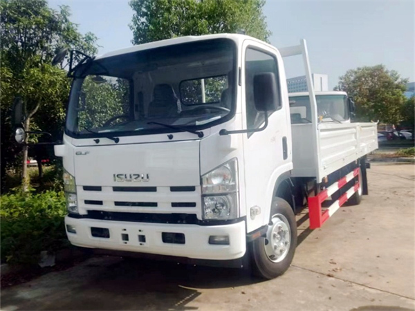 ISUZU 4X2 model elf light cargo box trucks 10 ton lorry truck price